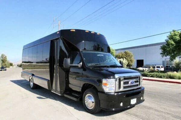 Naperville 15 Passenger Party Bus